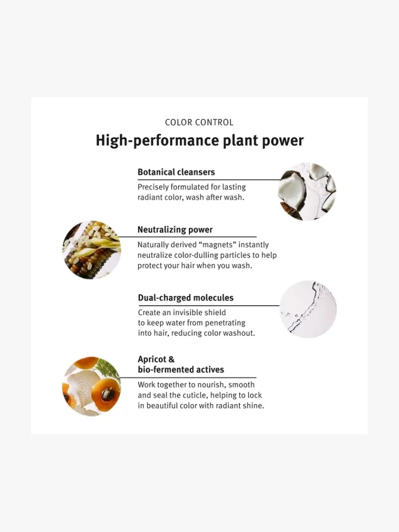 aveda_colour_control_cond_2.webp AVEDA Colour Control Conditioner | MECCA Sale