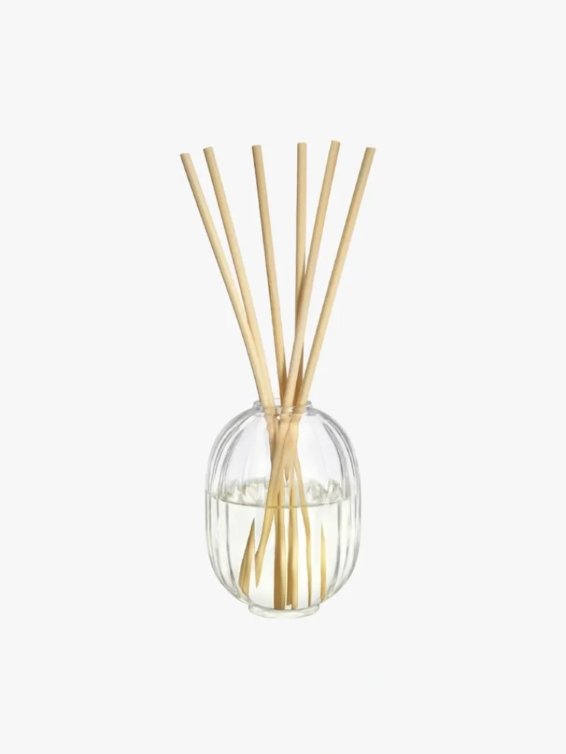 DIPTYQUE Reed Refill Roses Diffuser | MECCA Best