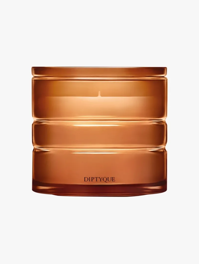 DIPTYQUE Terres Blondes Premium Scented Candle | MECCA Hot