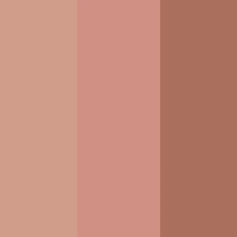 Kevyn Aucoin The Neo-Bronzer | MECCA Discount