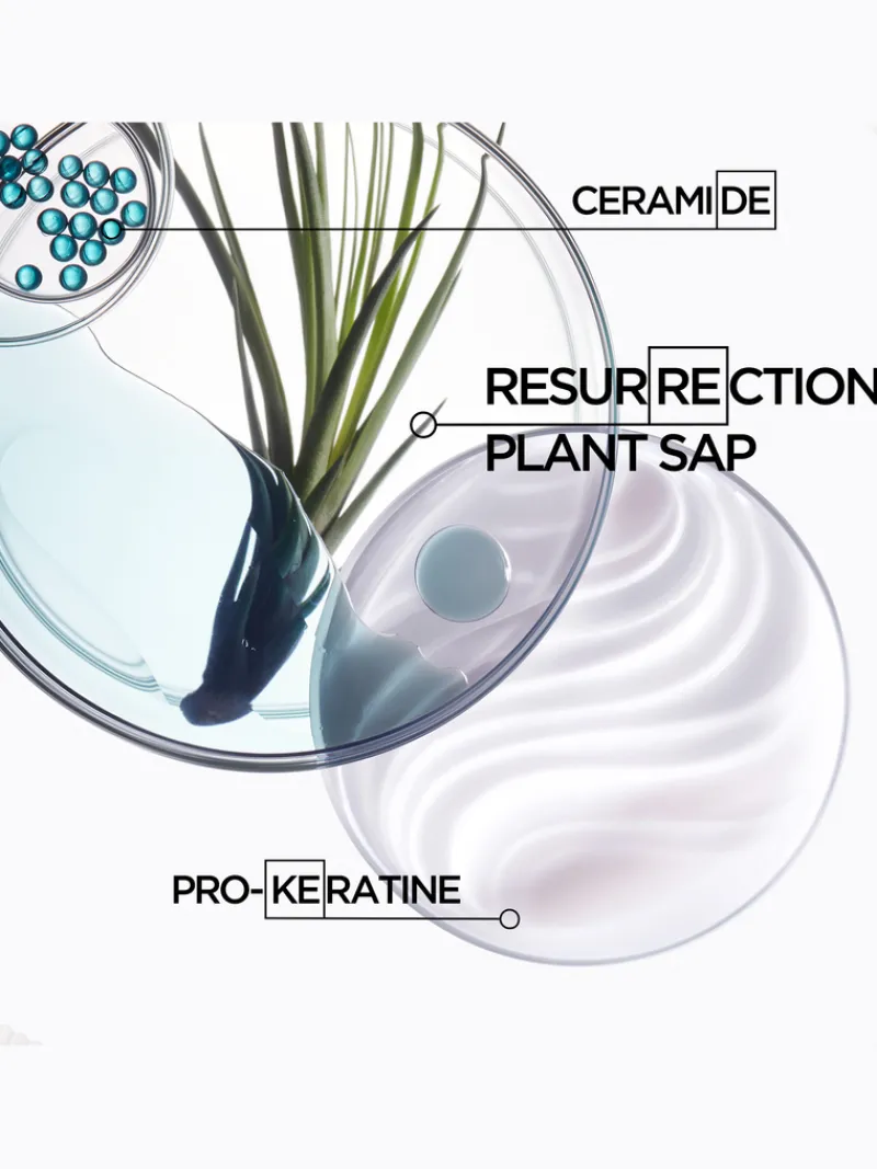krastase_resistance_stren_4.webp Kérastase Resistance Strengthening Anti-Breakage Conditioner | MECCA Online
