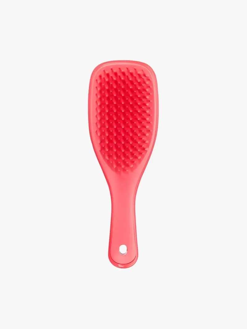 Tangle Teezer The Ultimate Detangler Mini | MECCA Best