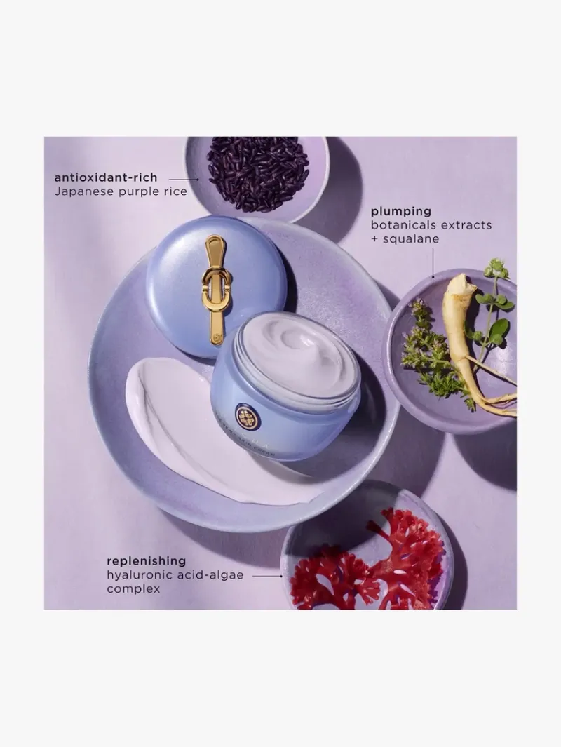 tatcha_the_dewy_skin_crea_3.webp Tatcha The Dewy Skin Cream | MECCA Discount