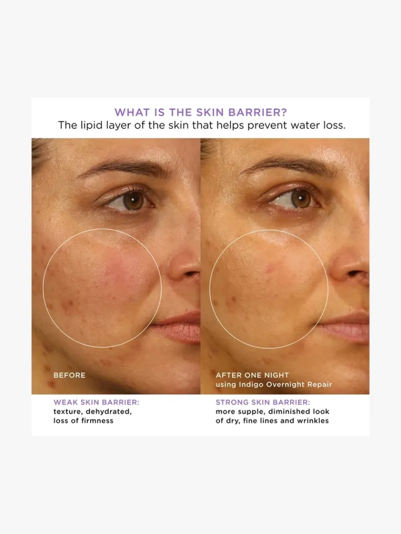 tatcha_the_indigo_overnig_3-1.webp Tatcha The Indigo Overnight Repair Cream | MECCA Clearance